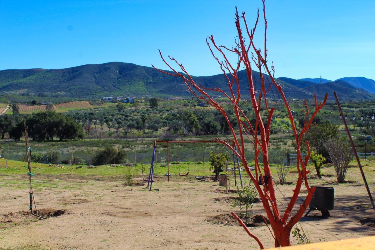 Hotel Rancho El Matalote Valle de Guadalupe Exterior foto