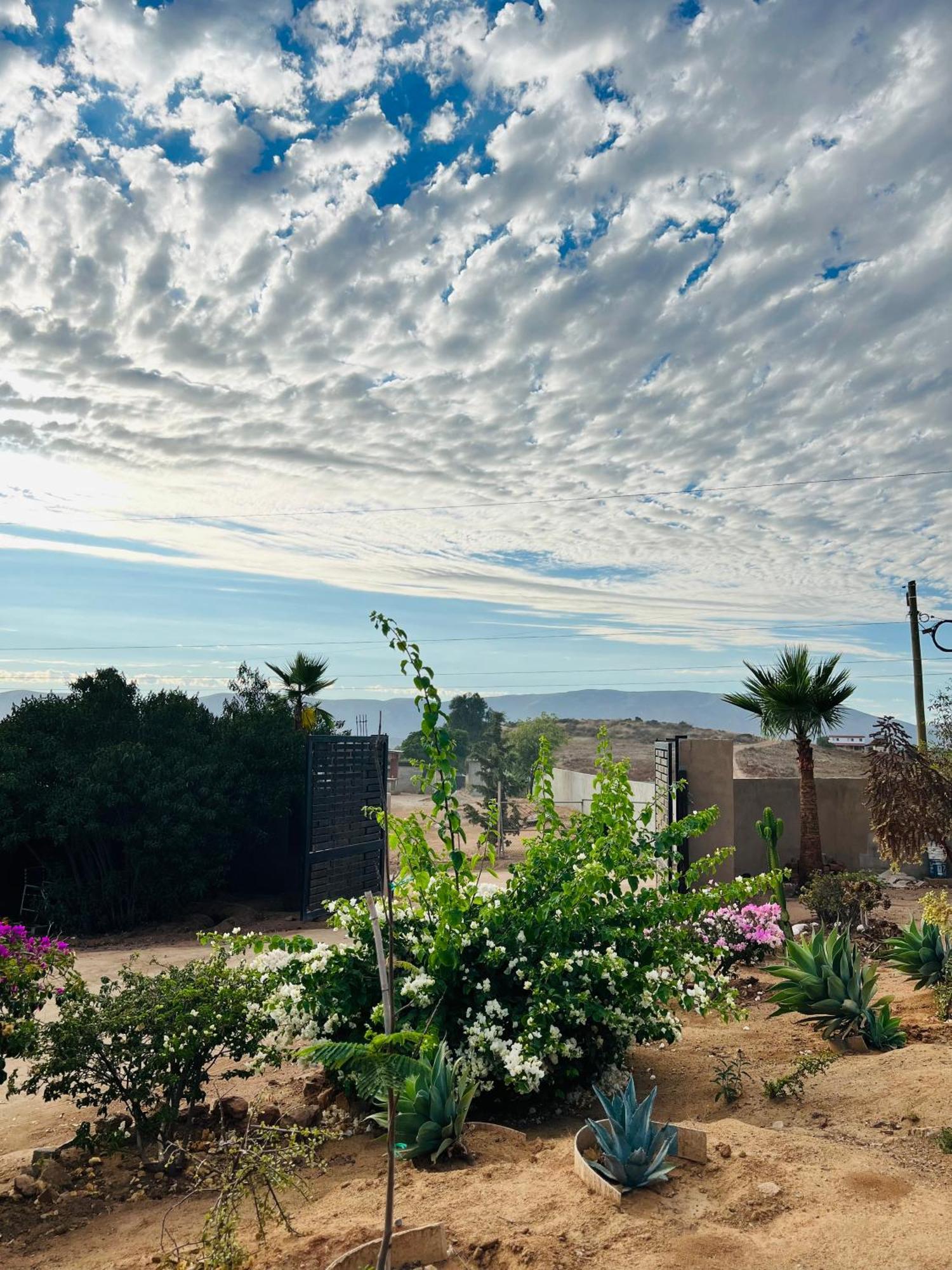 Hotel Rancho El Matalote Valle de Guadalupe Exterior foto
