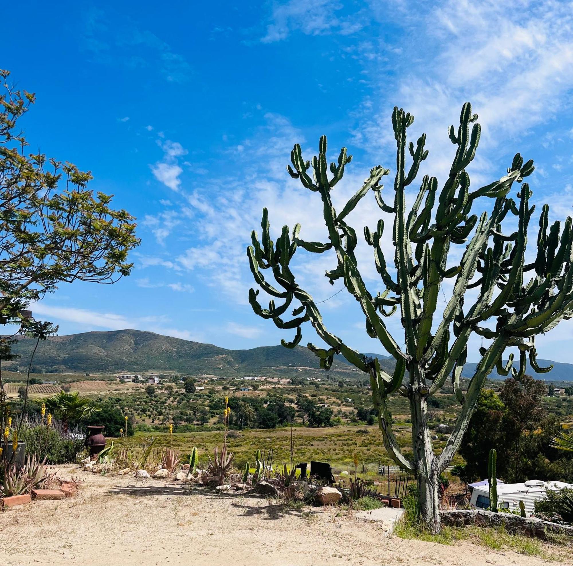 Hotel Rancho El Matalote Valle de Guadalupe Exterior foto